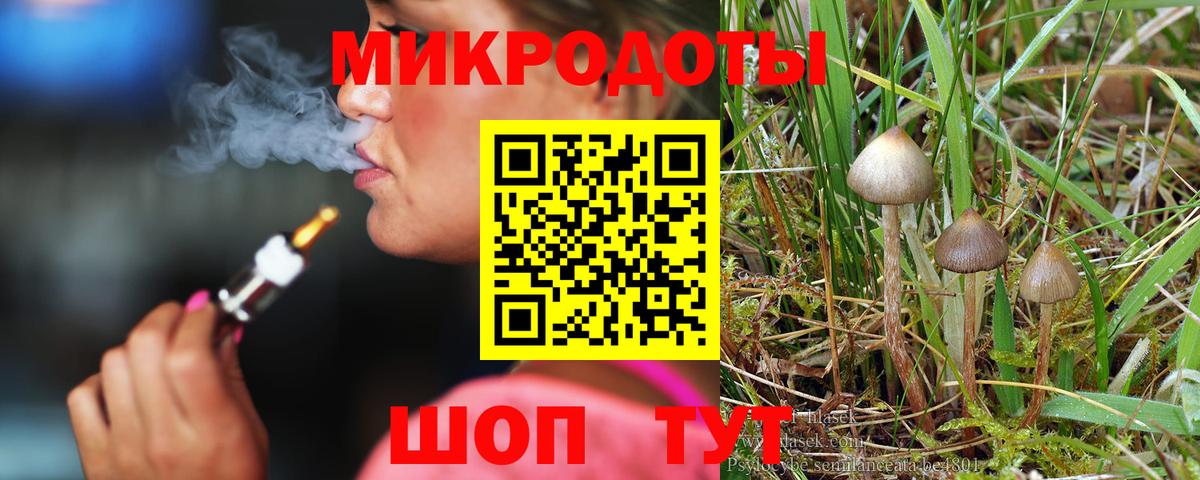 Псилоцибиновые грибы MAGIC MUSHROOMS  Вход с VPN  Конаково 